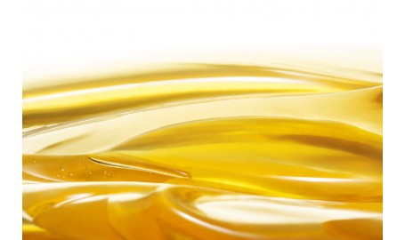 Naturalny miód — dlaczego warto go stosować?  Właściwości miodu